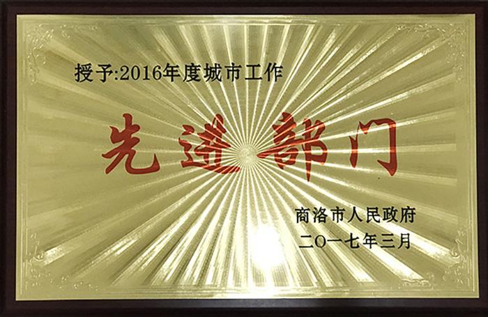 2016年度城市工作：先進(jìn)部門