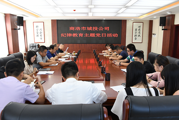 市城投公司開展&ldquo;明紀律、知敬畏、存戒懼、守底線、做表率&rdquo;紀律教育學習活動