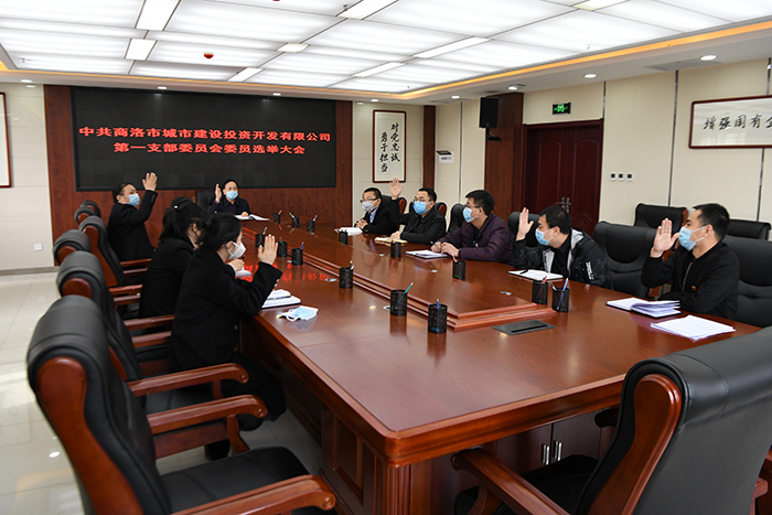 黨建引領(lǐng)謀發(fā)展  逐夢(mèng)前行譜新篇 &mdash;&mdash;市城投公司黨總支所屬各支部召開(kāi)黨員大會(huì)選舉產(chǎn)生第一屆支委成員