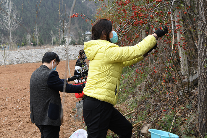 市城投公司植樹(shù)節(jié)開(kāi)展員工采集樹(shù)種活動(dòng)