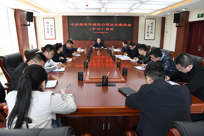 市城投公司召開總支委員（擴(kuò)大）會(huì)議    傳達(dá)學(xué)習(xí)習(xí)近平總書記來陜考察重要講話     重要指示精神