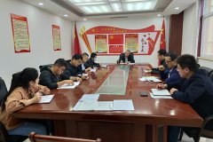 公司第二支部開展&ldquo;戴黨徽、亮身份、亮標(biāo)準(zhǔn)、亮承諾、展先鋒&rdquo;主題黨日活動(dòng)