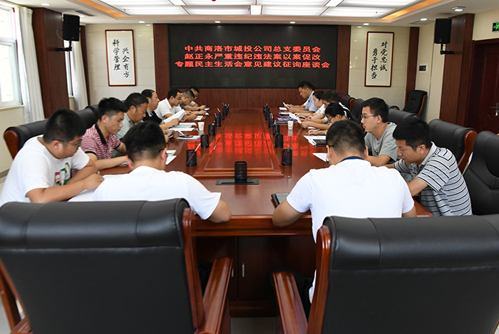 市城投公司黨總支召開趙正永嚴(yán)重違紀(jì)違法案以案促改專題民主生活會(huì)征求意見座談會(huì)