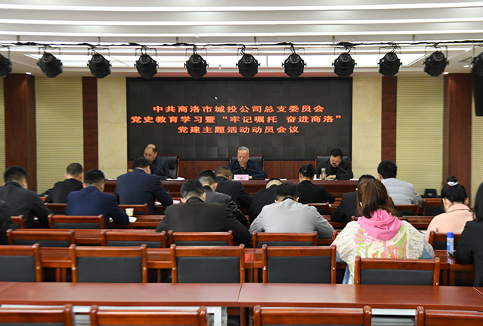 公司黨總支召開(kāi)黨史學(xué)習(xí)教育暨&ldquo;牢記囑托、奮進(jìn)商洛&rdquo;黨建主題活動(dòng)動(dòng)員會(huì)議