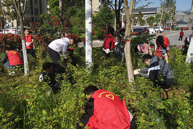 公司第一黨支部開展&ldquo;秦嶺最美是商洛&middot;生態(tài)衛(wèi)士我先行&rdquo; 主題黨日暨志愿者服務活動