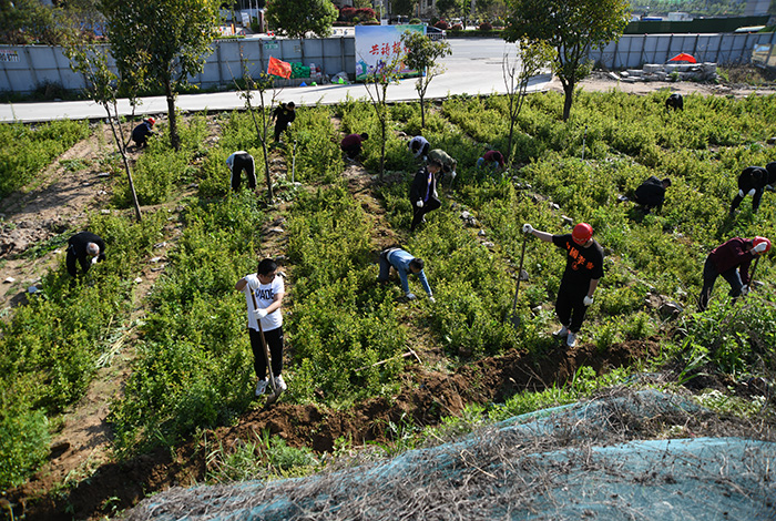 公司第二黨支部開展&ldquo;牢記書記殷殷囑托,爭做 秦嶺生態(tài)衛(wèi)士&rdquo;黨建實踐活動