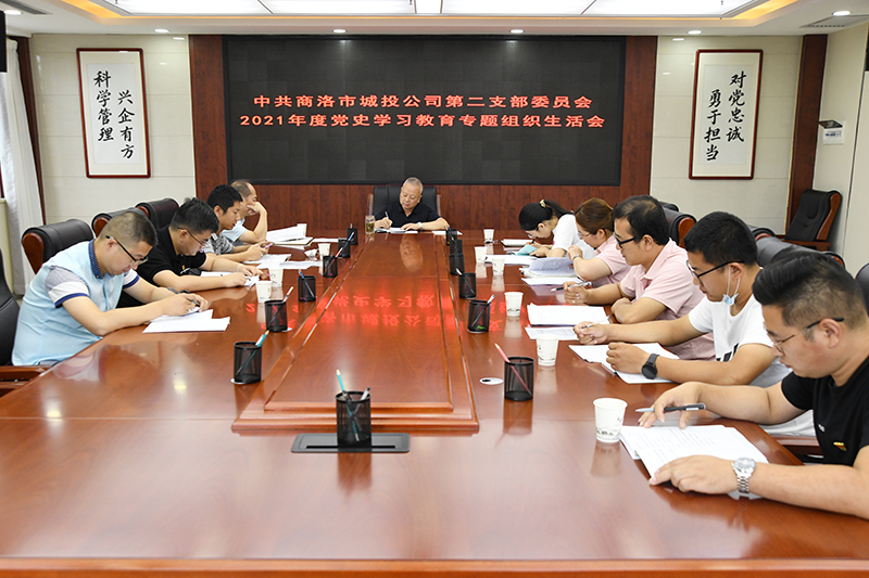 公司第二黨支部召開2021年度黨史學習教育專題組織生活會